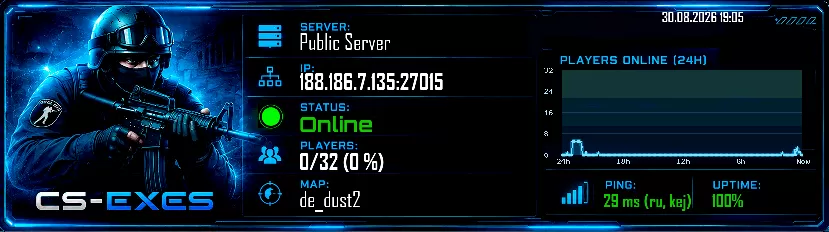 Public Server